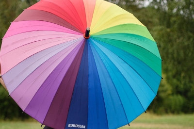 d8fbd8589de826b4d2abfb8e907a6574