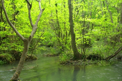 a8a129ac2b302308c2bec699ac112e24