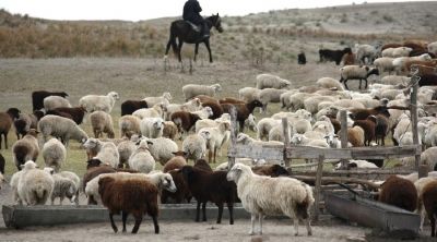 0a58c589092874c4dea10c5498c1a08b