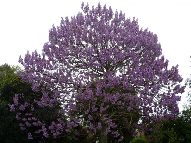 d361af997553aa5b9f9cf9848bd4a1fd