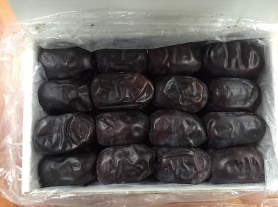 dd2538c8fc73f6b71ced78cc108052ee