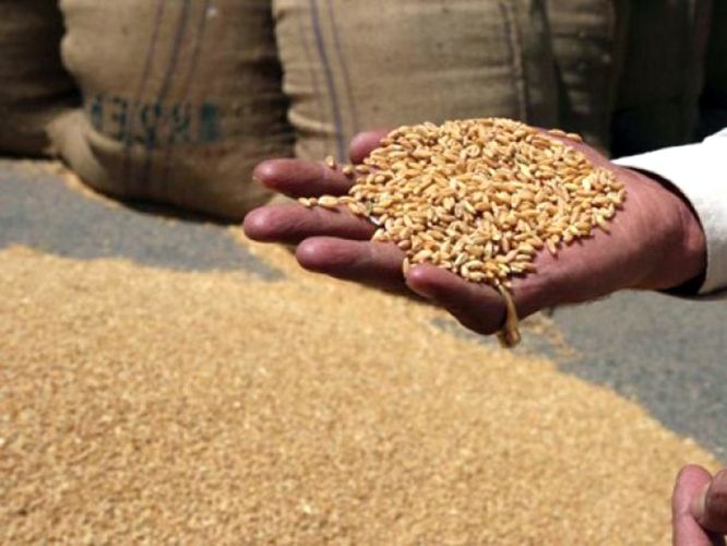 e51ce531a2e87446d6771c57f5f3f36a