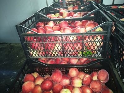 1a23102c130e9bc8271c65031e0c129f