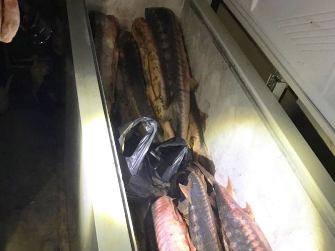 3460d0ddb75406ffed07ba0a05fdaf3e