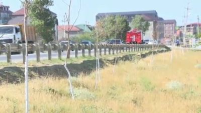 ce8b2bc1ef3dcbe7b349584010638108