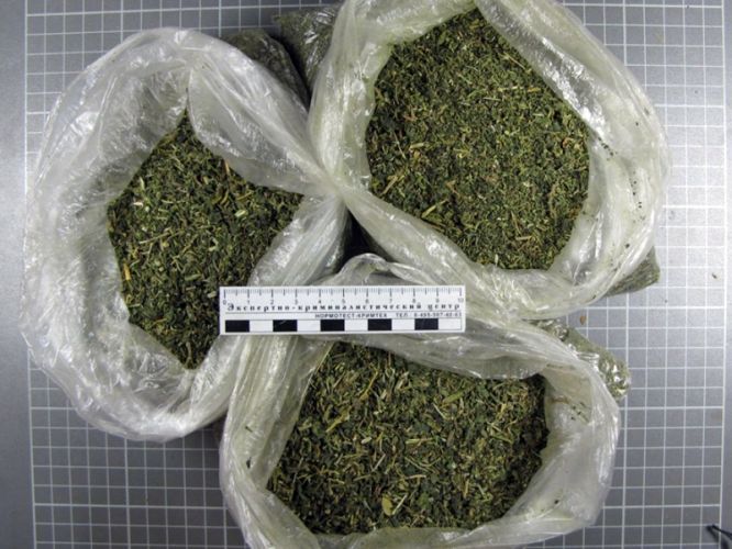 89a8f8bb72c8a345ff2ce075bd61c3e8