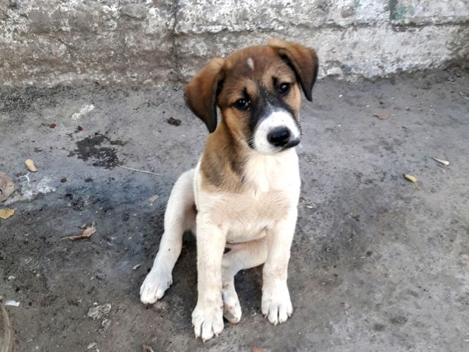 f5202c27a79e36de9f6448d89d42d80e