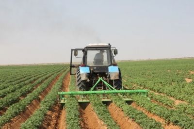 e46e7f1ab6edecc76273f01b4fc9e868