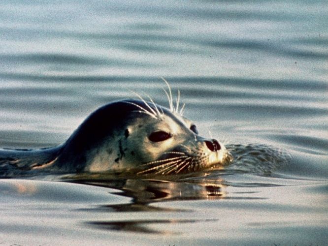 361e152ed0914aeaef3e692ed36be4c1