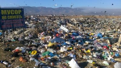 82d8543c42181de5bd341656c0ee66ba