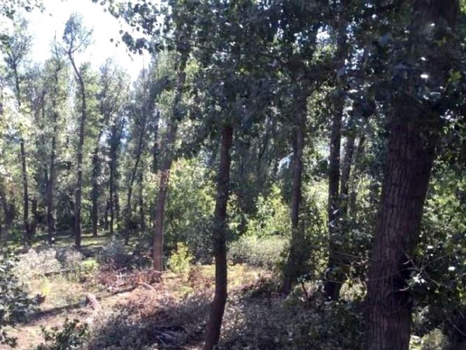 b18b23fa1a4d643ff9a798d131f6bc4a