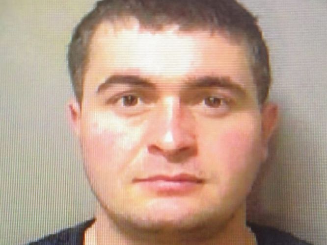 c42488f41ceb5779e6e013f8dc2ba737