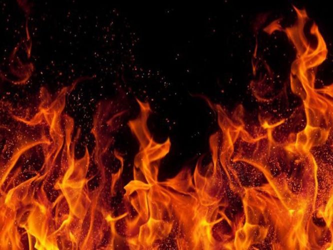 f8b2e49fedcb69e17008c1bd27637372