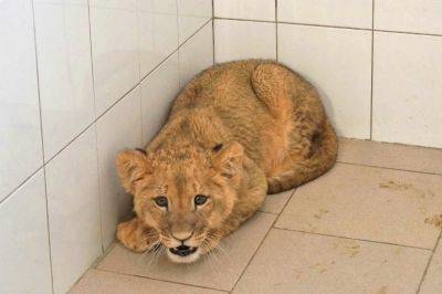 c6cb75b402190c716302d99c12545d27