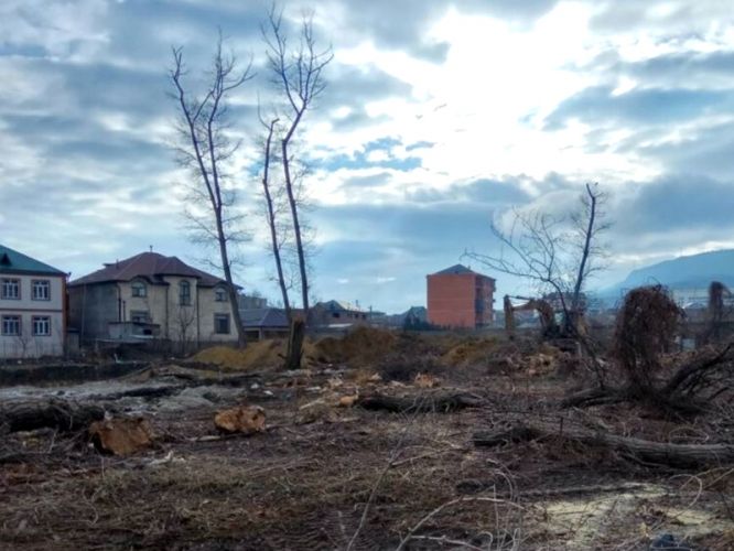 4481c7adf69991e82807057a81ac4b2b