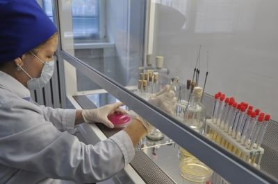 35aaf396e312313341d206537c1bf2ff