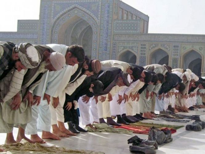 b1332741d3d95abb22a28313c105b286