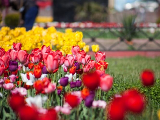 53b9a78a3de4a1f9757282bae3471e8f