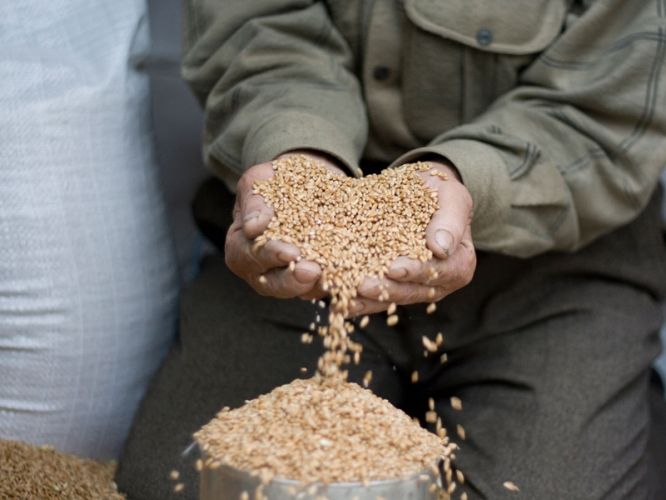 cbc879beeb812951f9b90ca6867d4389