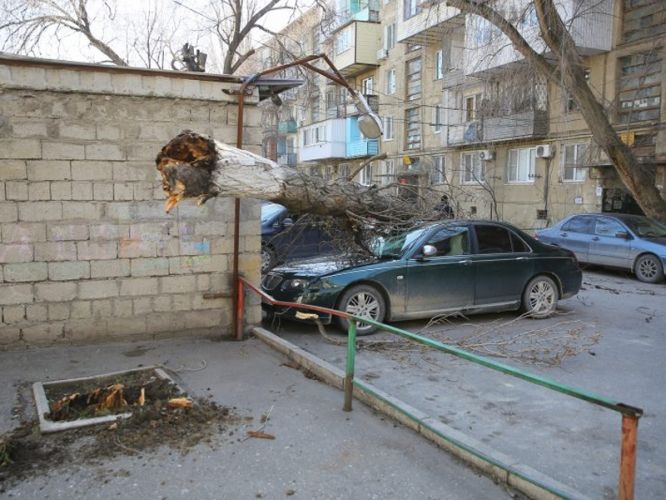 af49335c35837fa3aadcecd5a2b5f631