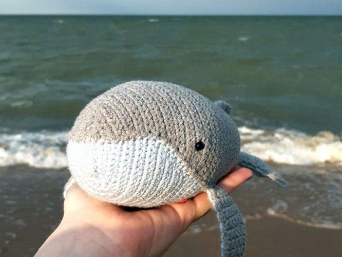 5777891a1b15ea814f5028a19c203b3a