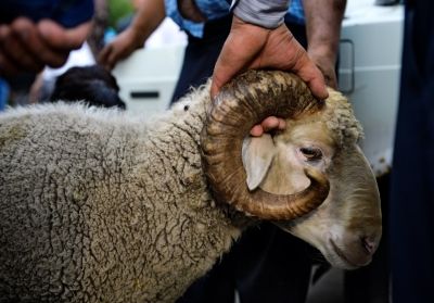 586a9570392e03eac81f5126e3824f21