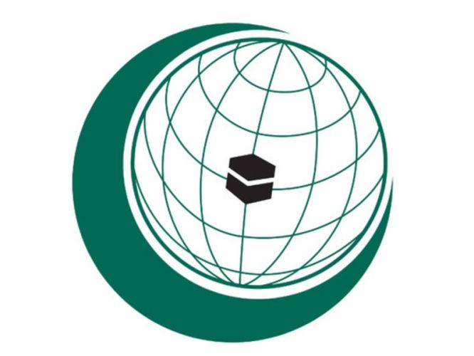 727f12a56fdfadb5cb93a687ab617634