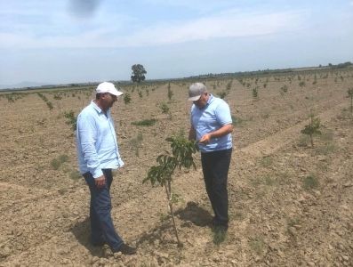 fb4edb861fb8116f8d9885a159efa338