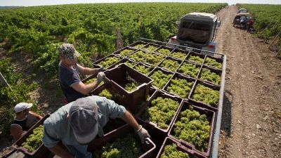 dc988a14d3eacb6f5958b585ae6d6fd2