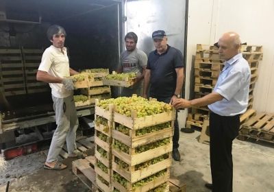 235bd87acba732d351ef3ccbd58a4a55