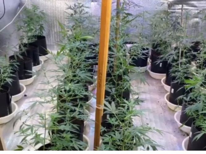 be6b8ea73e0d10682deaf636cb3defcb