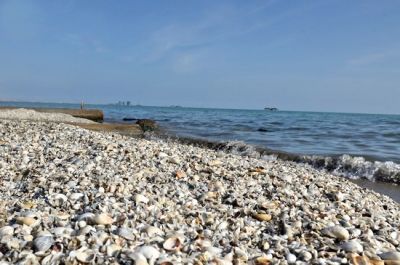 c00218b49e5e90bf94f08dc762364907