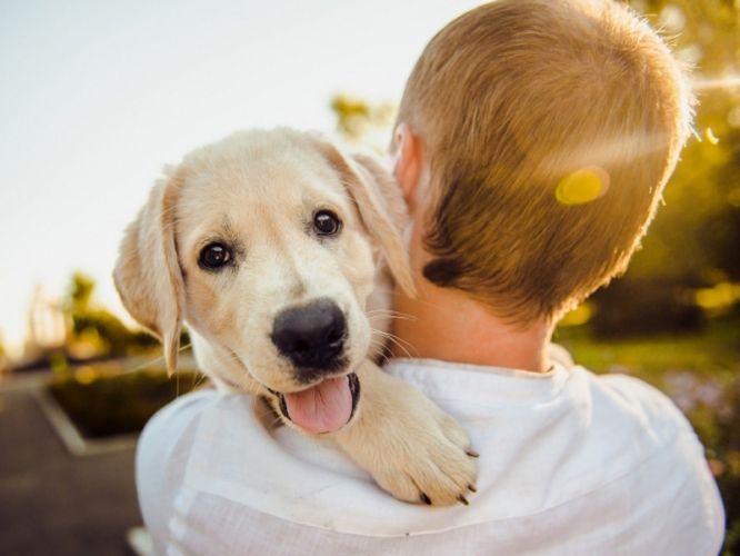 0a8a5824f8390a32aba37f5764cbed0f