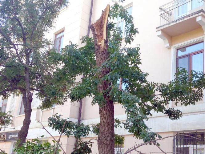 e02210817a8ec61786591035d2281e60