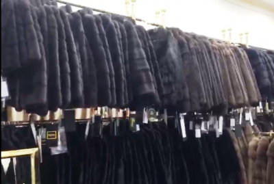 2f7f31361877d501fc415979cd461182