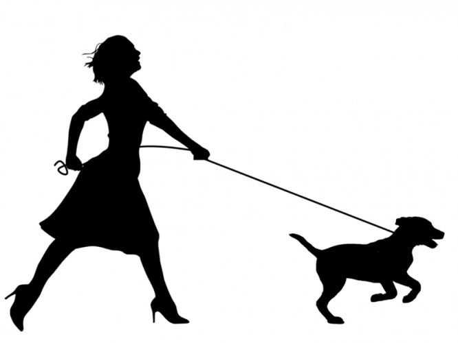 b3638e0ecfefcd18d6175bff4a5bfbab