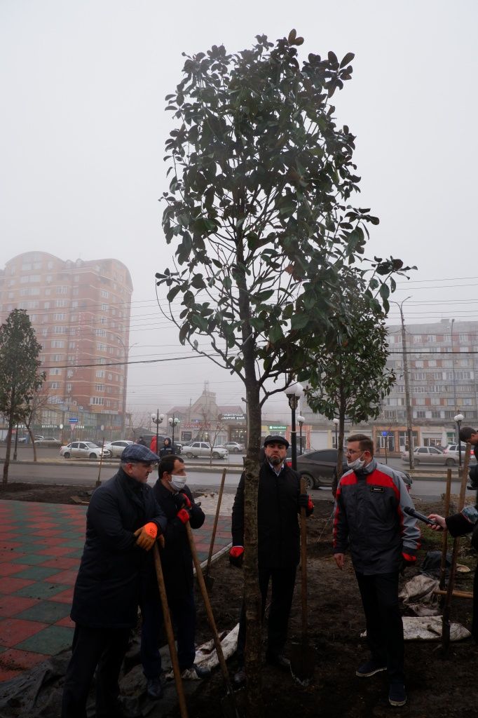 6b9302a17878283f85ccc1820a109b4f