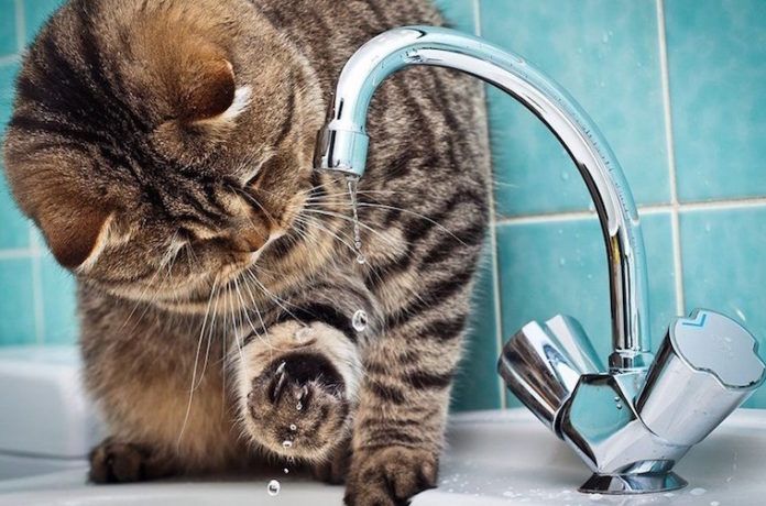 3C331BE9-68C0-4C91-B8F5-B6383E3F63E5