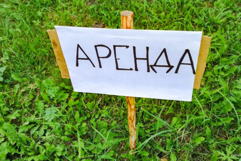 Земельный участок в аренду можно найти онлайн