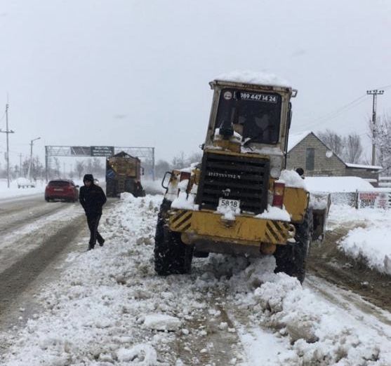 4DF19B3A-3B90-44E2-9297-7D69C73B661D