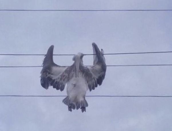 58DE714A-052C-4B18-855E-760F69D416DA