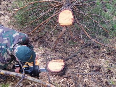 393DF553-CA4D-4A41-B7DF-E475A22C3EE9