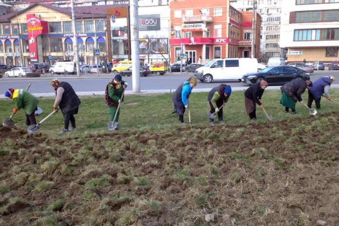 4 Горзеленхоз (2)