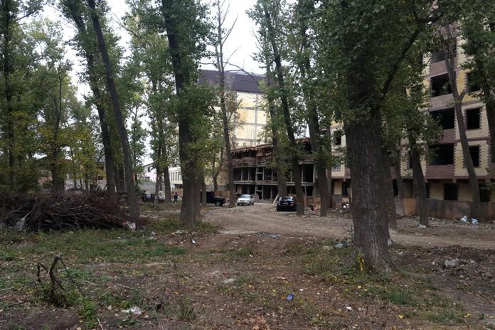 Эльтавский лес