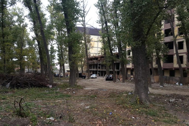 Судьба Эльтавского леса решена?