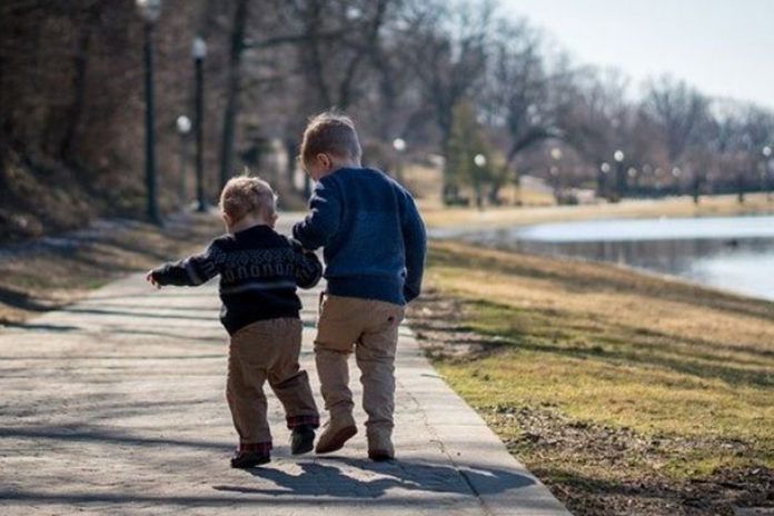 Закон и право (1)