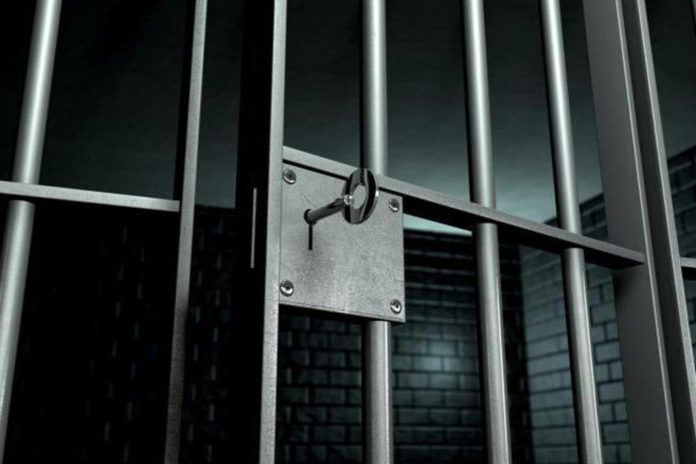 Закон и право (2)