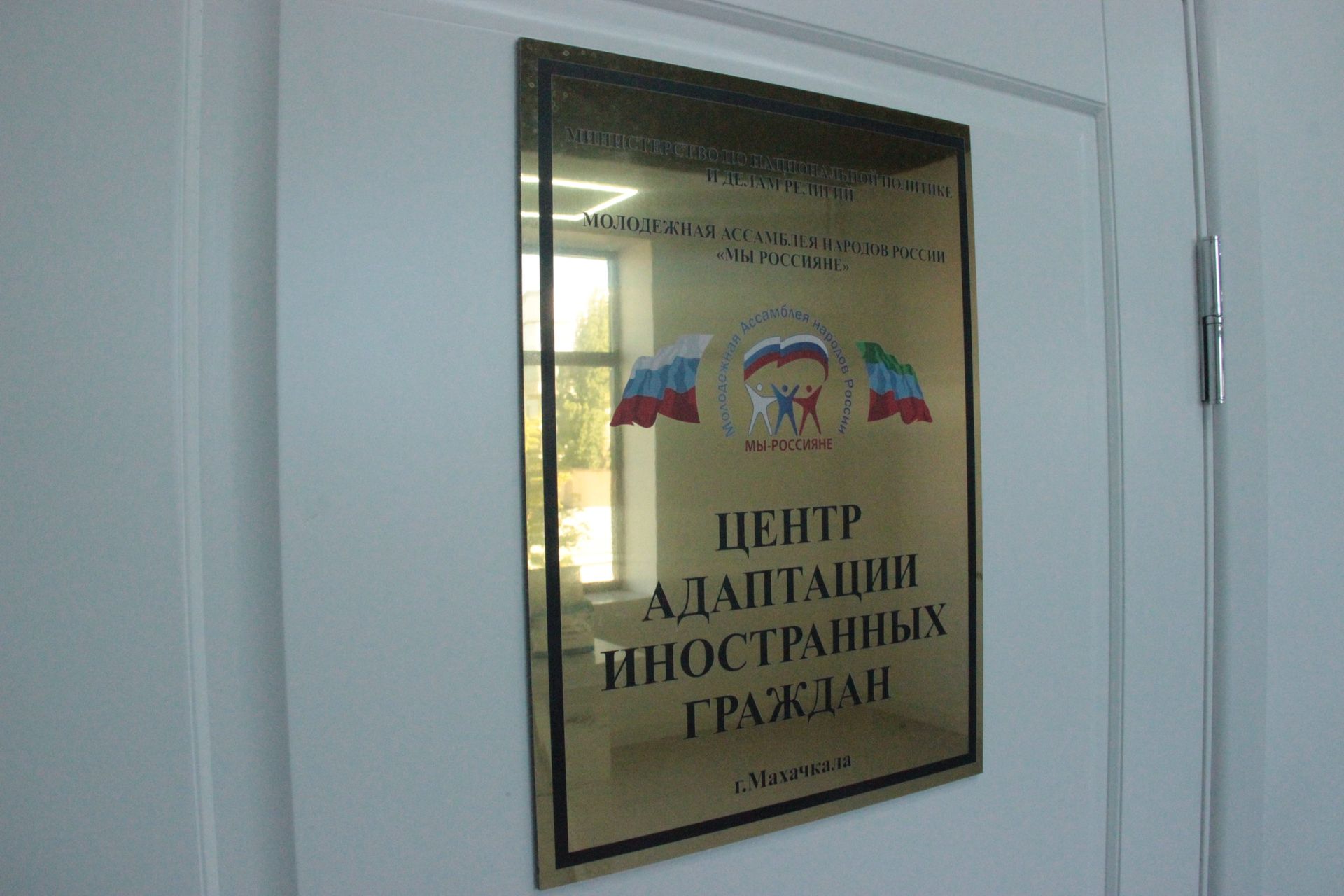Положение об адаптации иностранных граждан. Положение об адаптации иностранных граждан