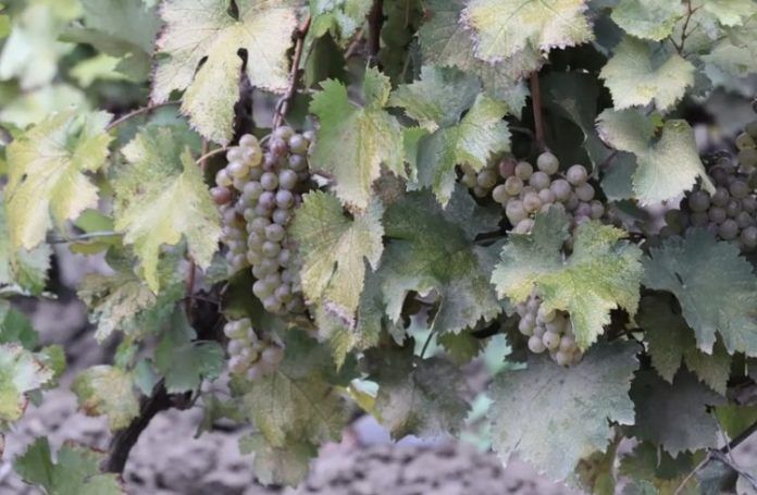 EE600E1B-733B-4A02-B59D-D515F21B33E3