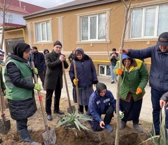 В сквере депутатов в Махачкале прошла акция по посадке деревьев